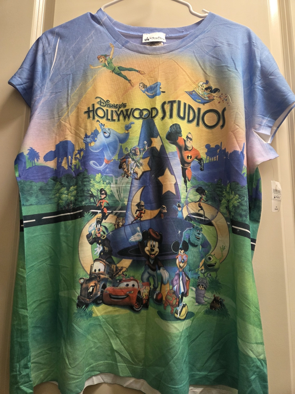 🍍Disney Hollywood Studios Graphic Tee